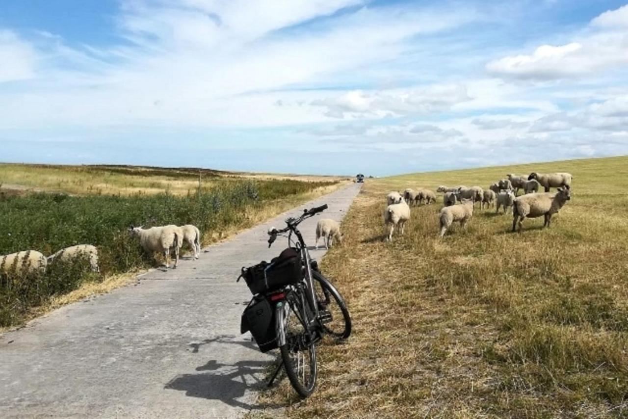 فيلا Aseler Nordseestube فيتموند المظهر الخارجي الصورة